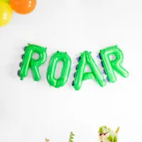 Roar balloon and dinosaur toys and party supplies