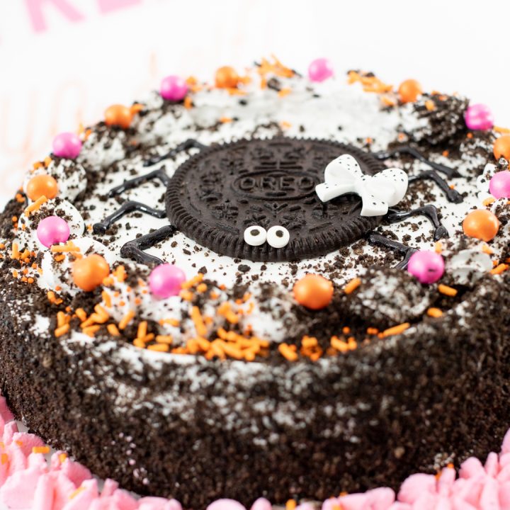 Spider Cake | Halloween | Hungry Happenings