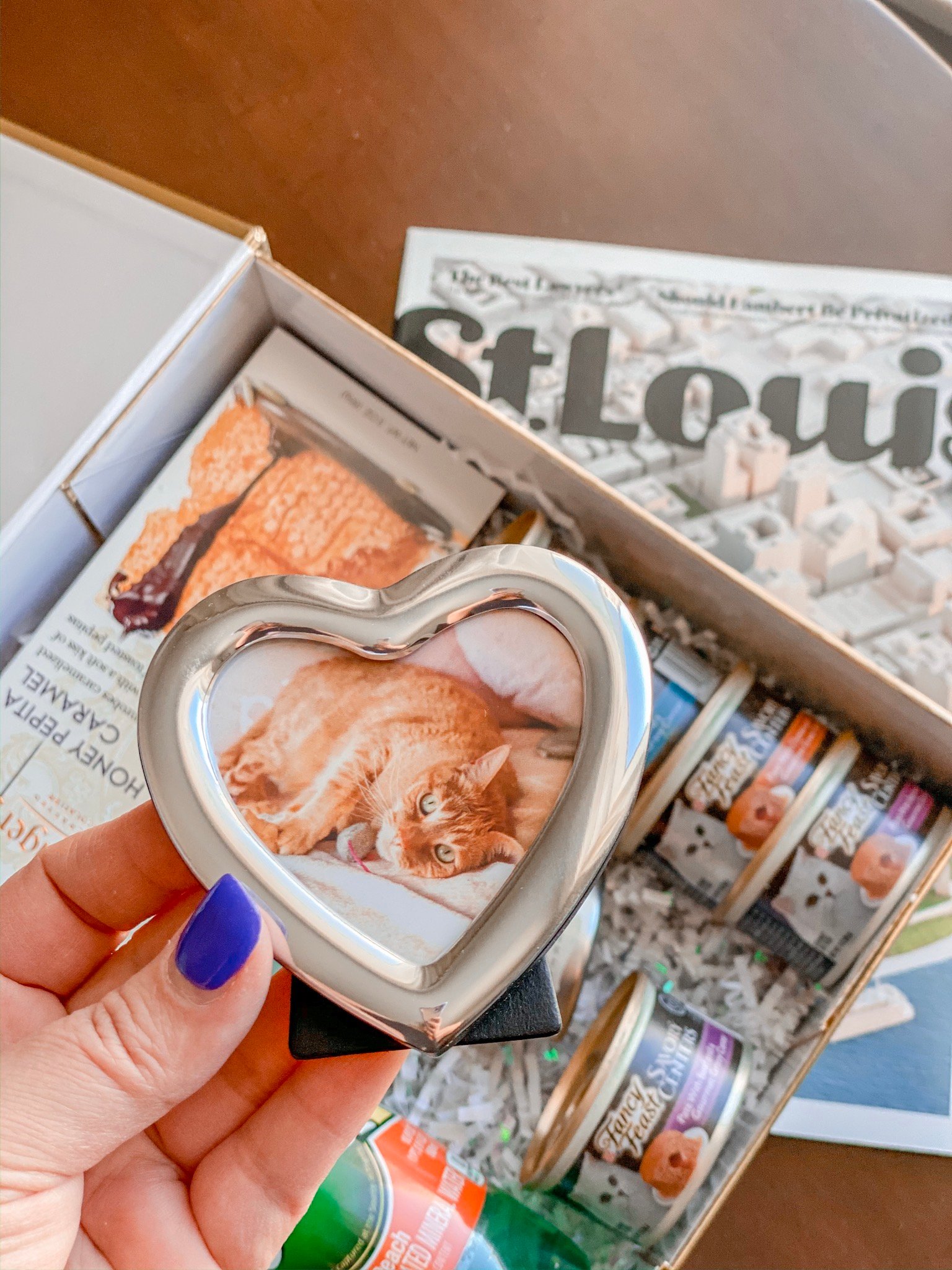 heart shaped frame with cute cat inside