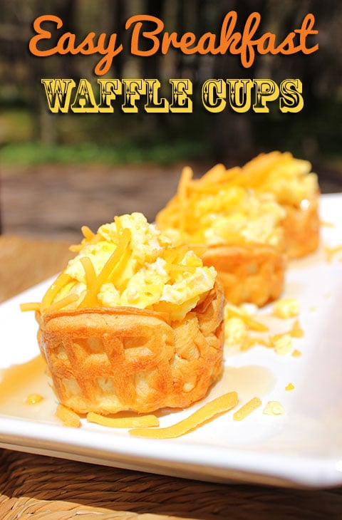 Waffle Cups Recipe