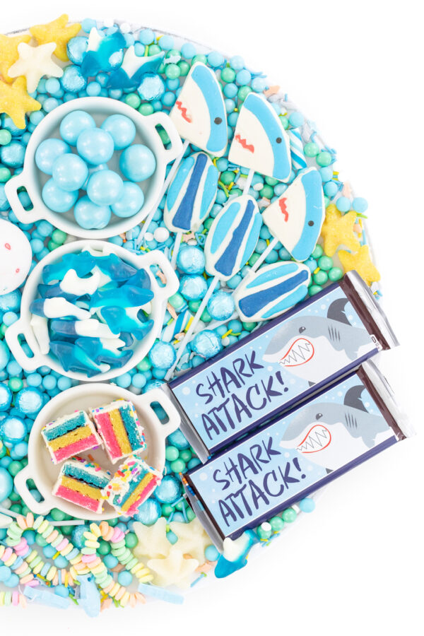 shark candy platter