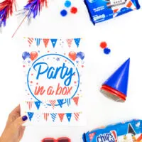party in a box filled with fun goodies for an easy diy gift