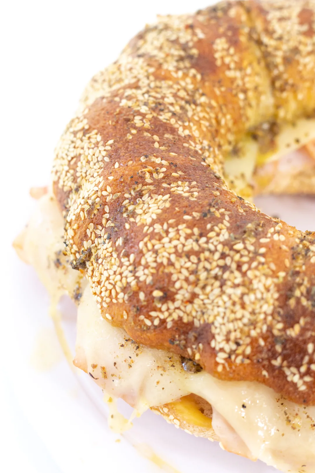 giant party sandwich up close with sesame seeds and italian seasonings