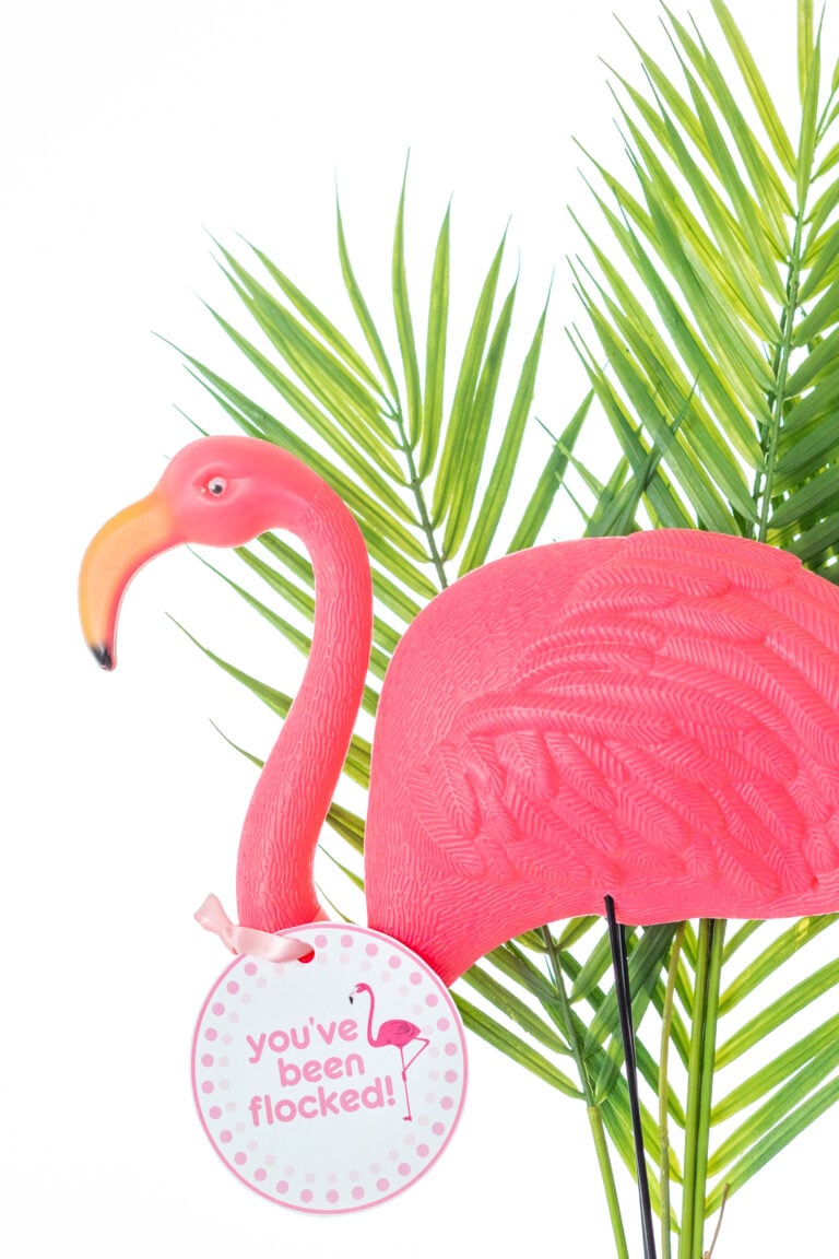 Unique "You've Been Flocked" ideas