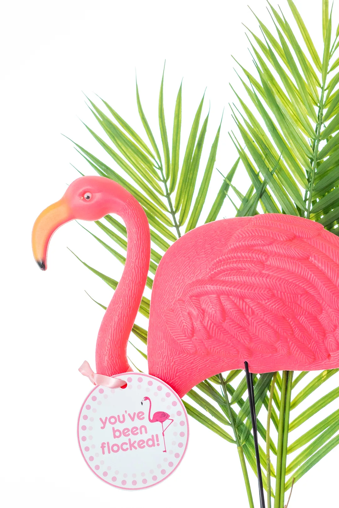 plastic lawn flamingo with you've been flocked gift tag