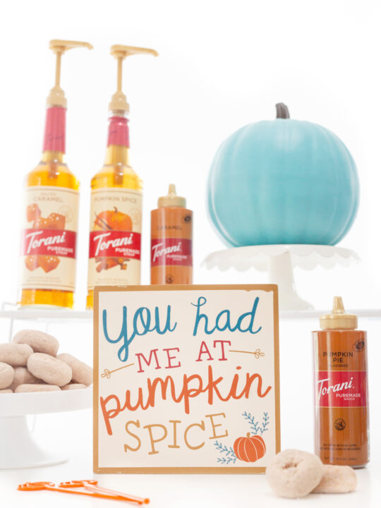 https://cutefetti.com/wp-content/uploads/2020/08/pumpkin_spice_bar_redo-1-540x720.jpg