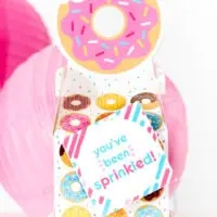 cute little donut gift box