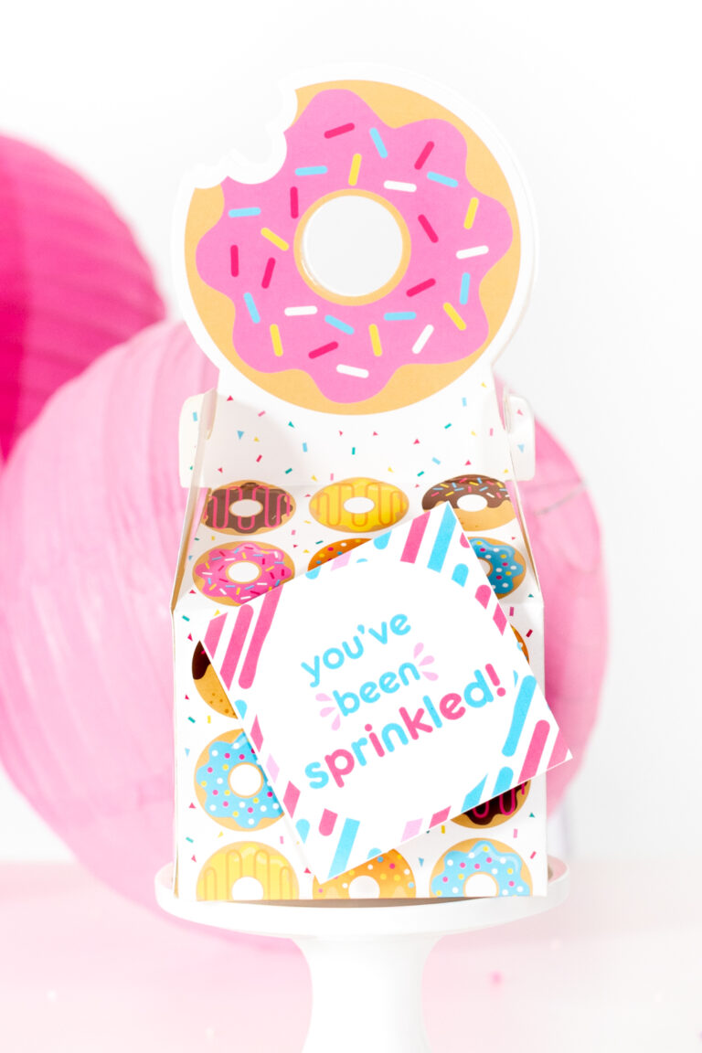 Mini Donut Decorating Kit