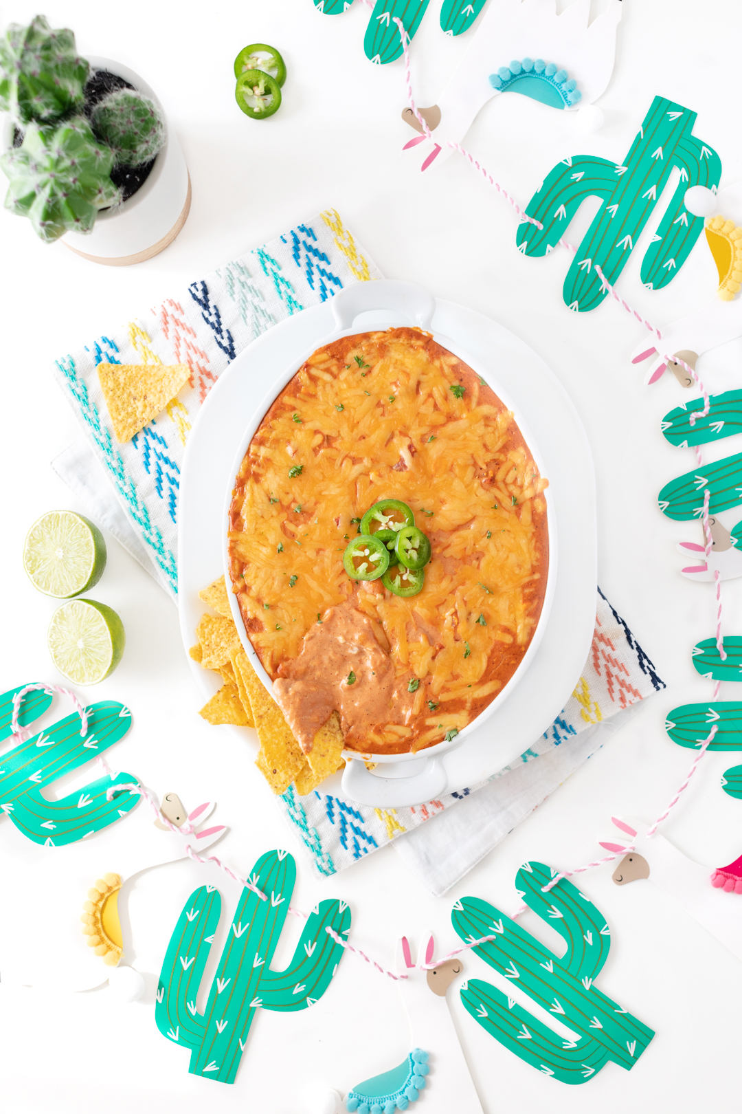 delicious mexican dip on table with cactus banner