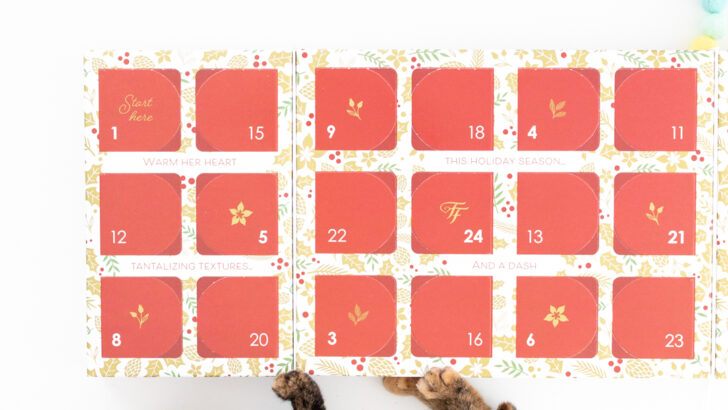 BEST Christmas Countdown Calendars You Need in 2022