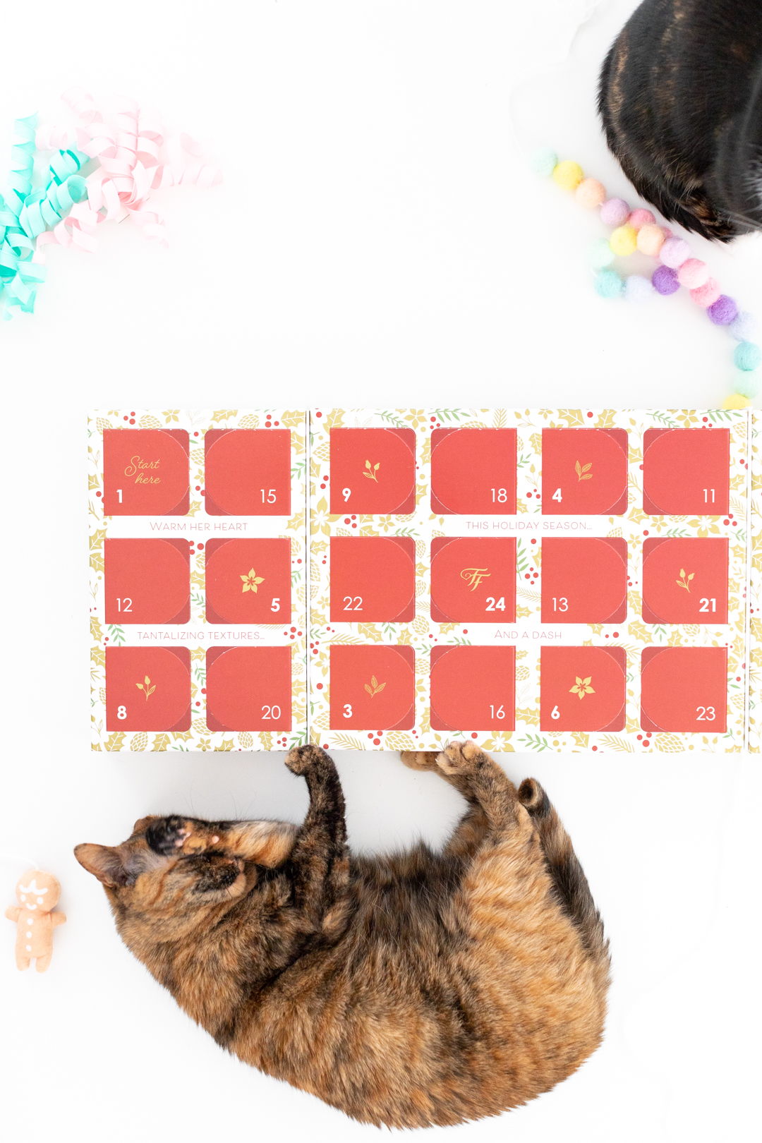 cat laying next to a cat advent calendar for christmas