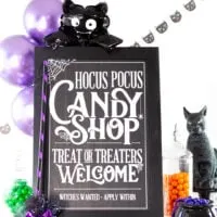hocus pocus trick or treat sign