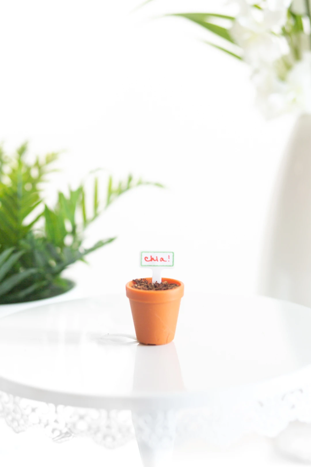 tiny growing pot with chia written on sign