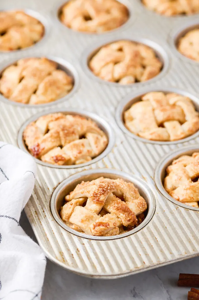 muffin tin filled with mini apple pies