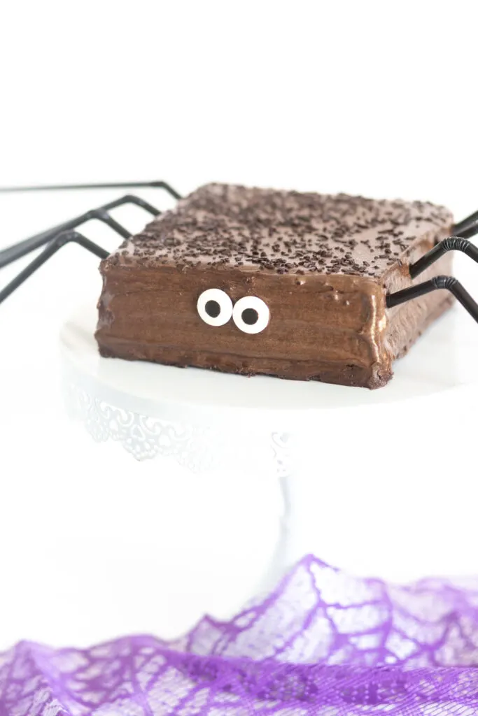 up close view of chocolate cake that is themed to look like a spider with candy eyes and black straws for legs