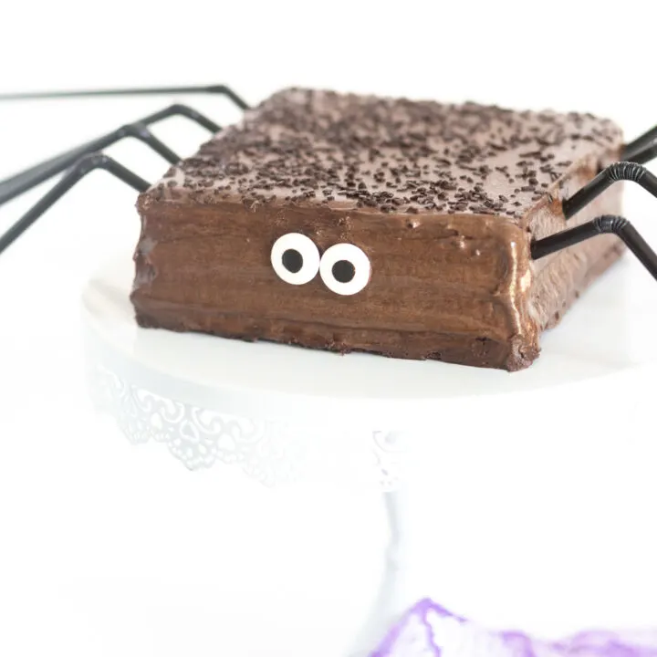 up close view of chocolate cake that is themed to look like a spider with candy eyes and black straws for legs