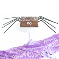 chocolate spider cake cake with big candy eyes and black straws for legs