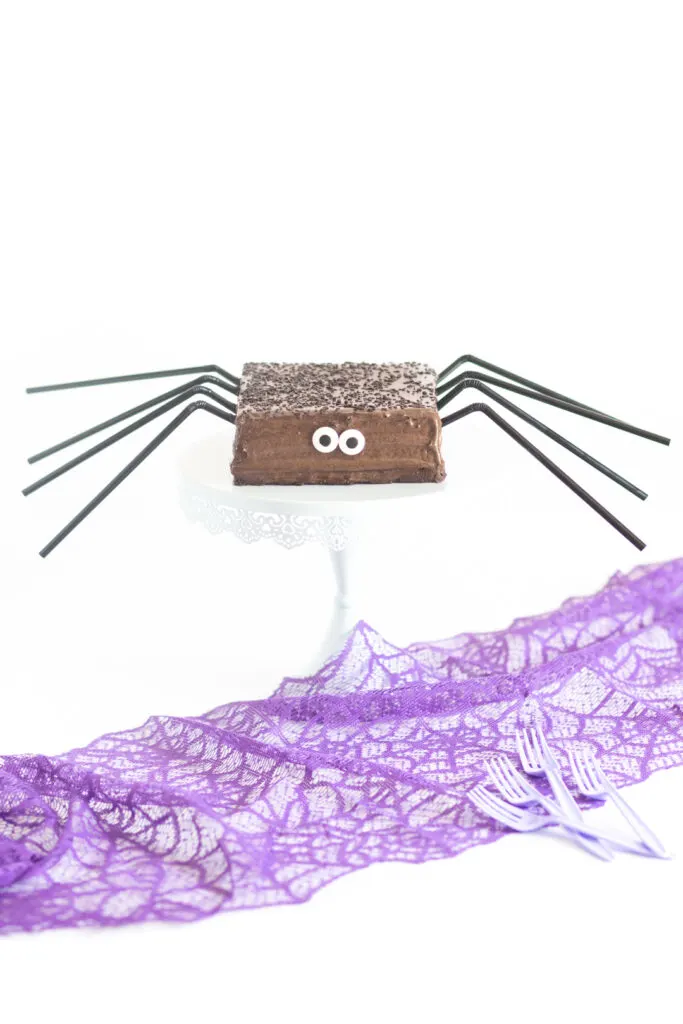 chocolate spider cake cake with big candy eyes and black straws for legs