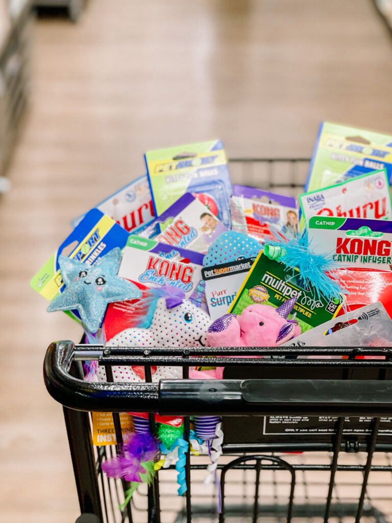 Pet supermarket cart filled with cat treats and toys