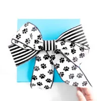 gift box with a cute diy cat paw pattern ribbon.