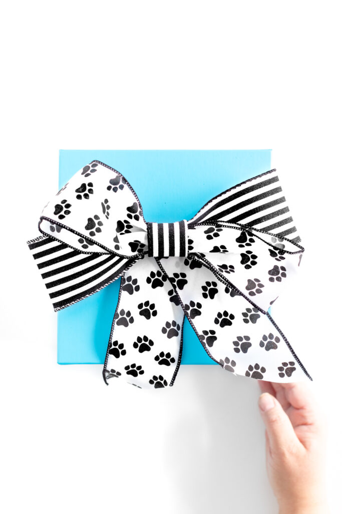 gift box with a cute diy cat paw pattern ribbon.