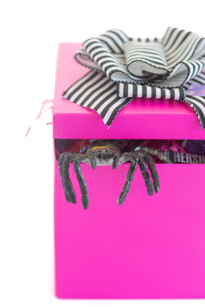rubber spider peaking out of a pretty pink halloween gift box with a black and white striped ribbon on top