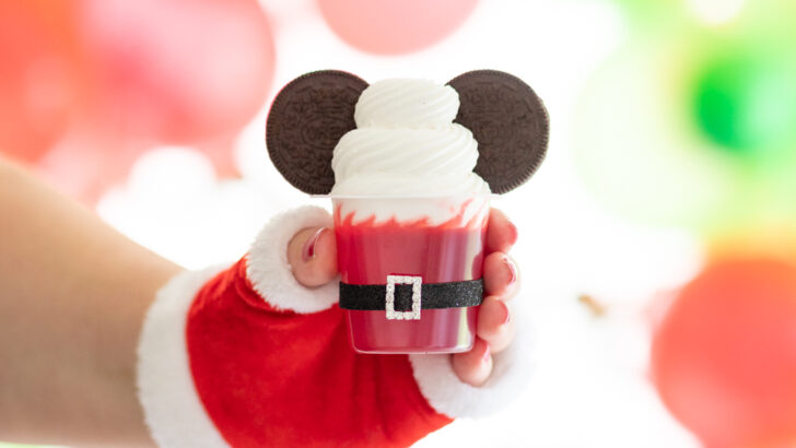 Mickey's Very Merry Christmas Party Ideas