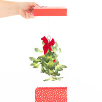 mistletoe revealed inside of a gift box to imply that the giftee would like a kiss
