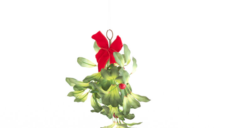 Surprise Mistletoe Romantic Christmas Gift