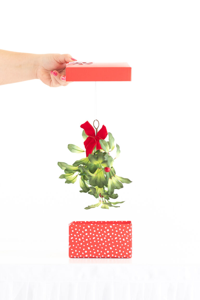 mistletoe revealed inside of a gift box to imply that the giftee would like a kiss