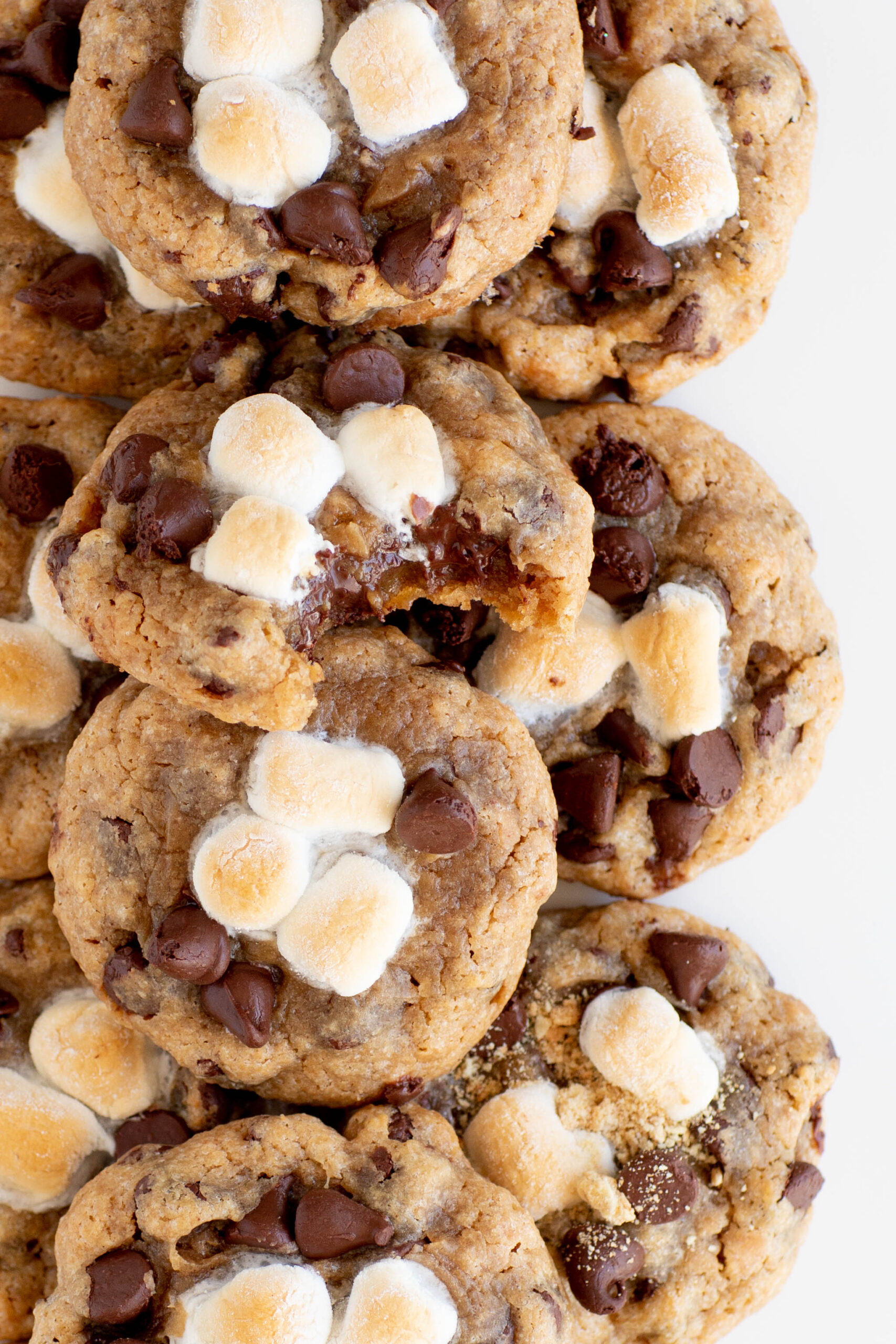 up close photo of cookies that are loaded with chocolate chips and topped with perfectly melted mini marshmallows.