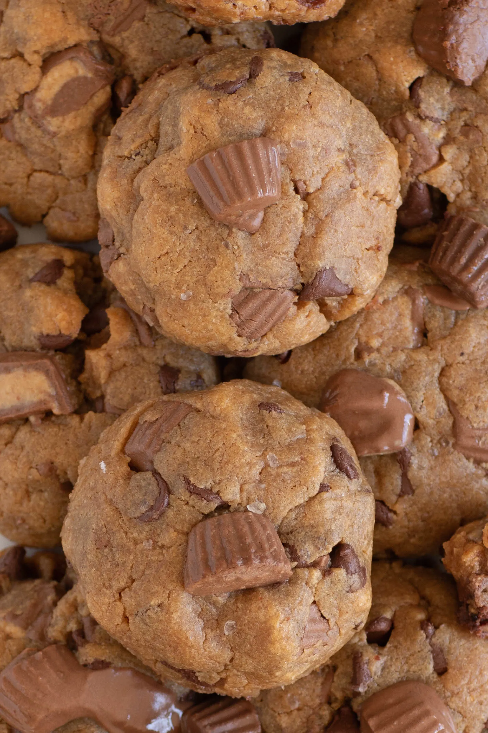 over the top view of lots of peanut butter cup cookies