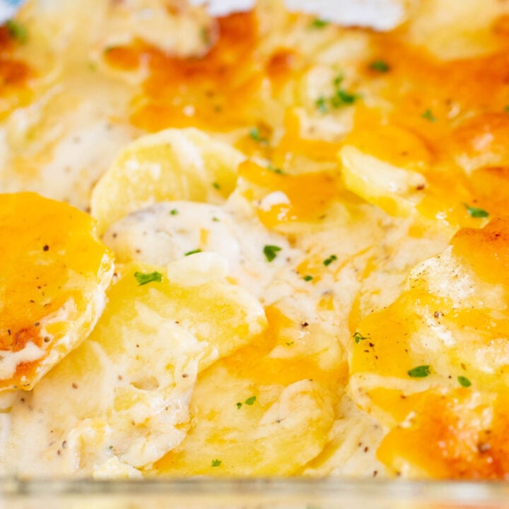 up close view of dish of scalloped potatoes loaded with cheese and creamy sauce.