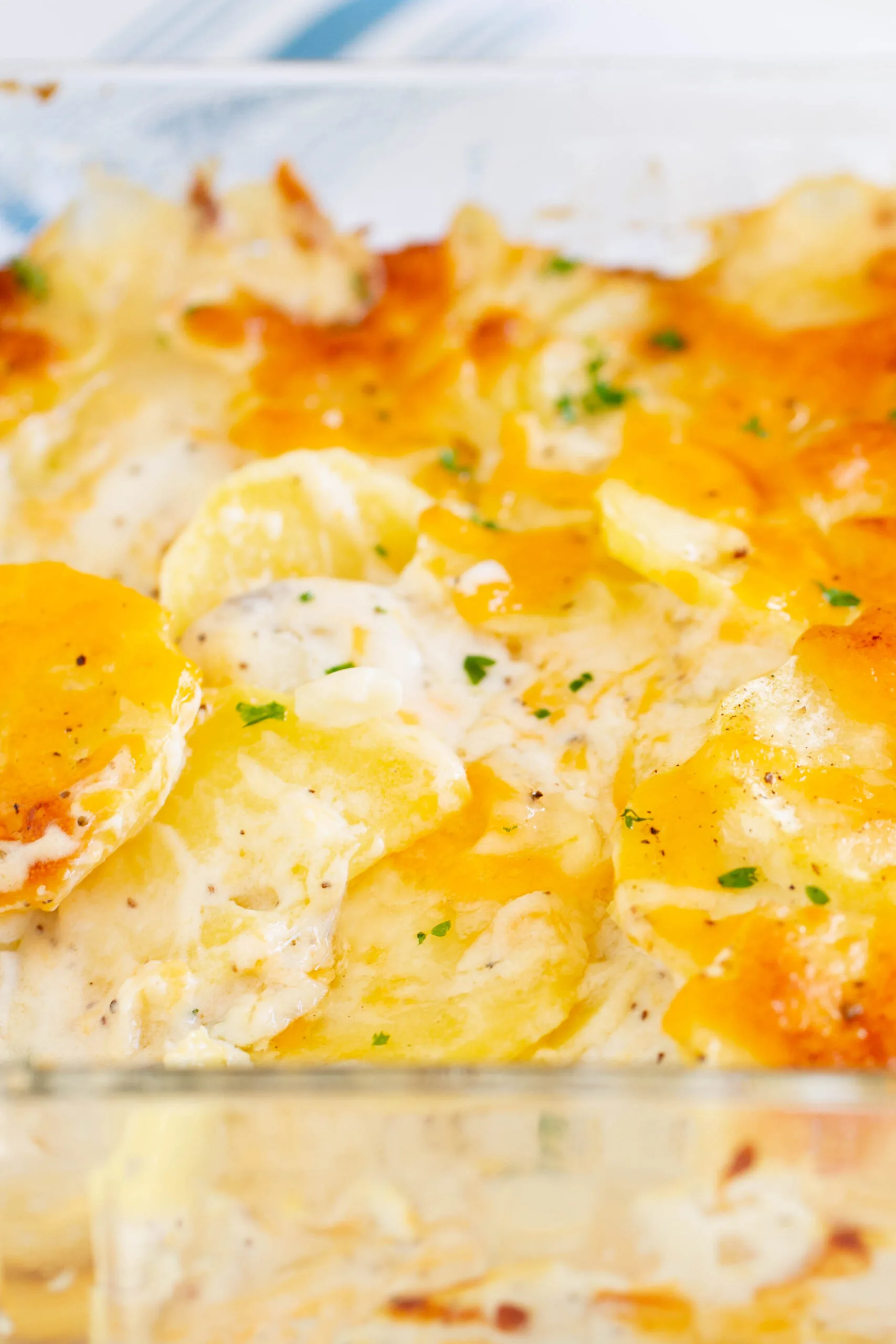 up close view of dish of scalloped potatoes loaded with cheese and creamy sauce. 
