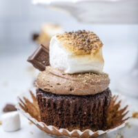 straight view of moist chocolate cupcake with chocolate frosting, toasted marshmallow, mini hershey chocolate bar and dusted with graham cracker crumbs