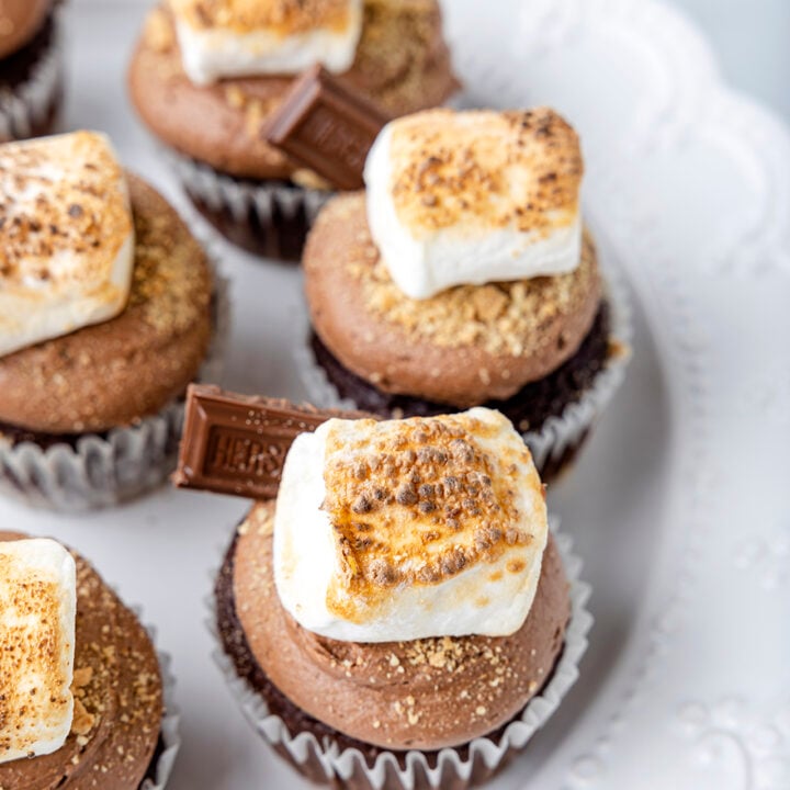 angled down shot of tray of s'mores cupcakes with gorgeous toasted marshmallow, hershey chocolate and graham cracker dusting