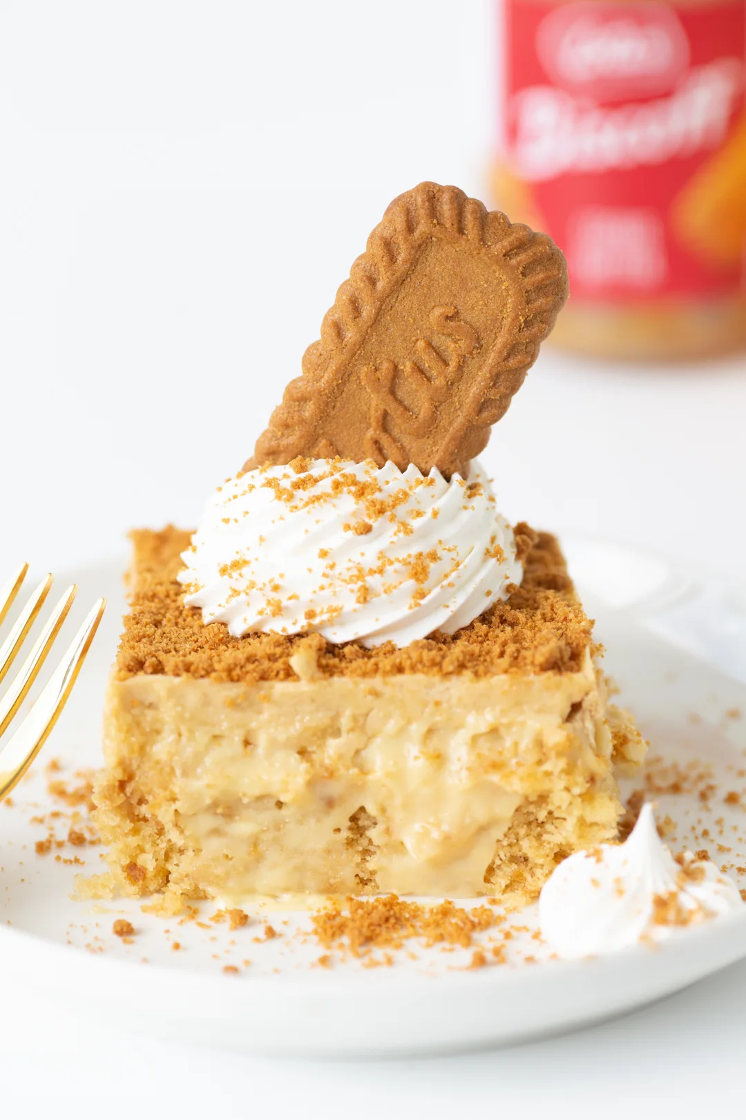 slice of cookie butter cake