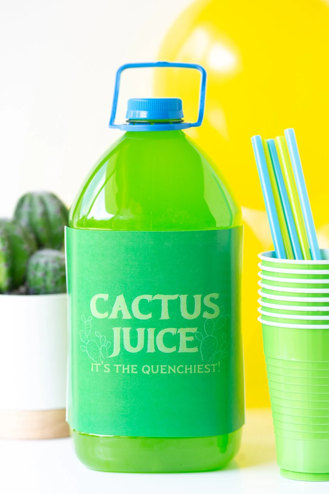 bottle of green juice labeled as cactus juice for avatar: the last airbender party