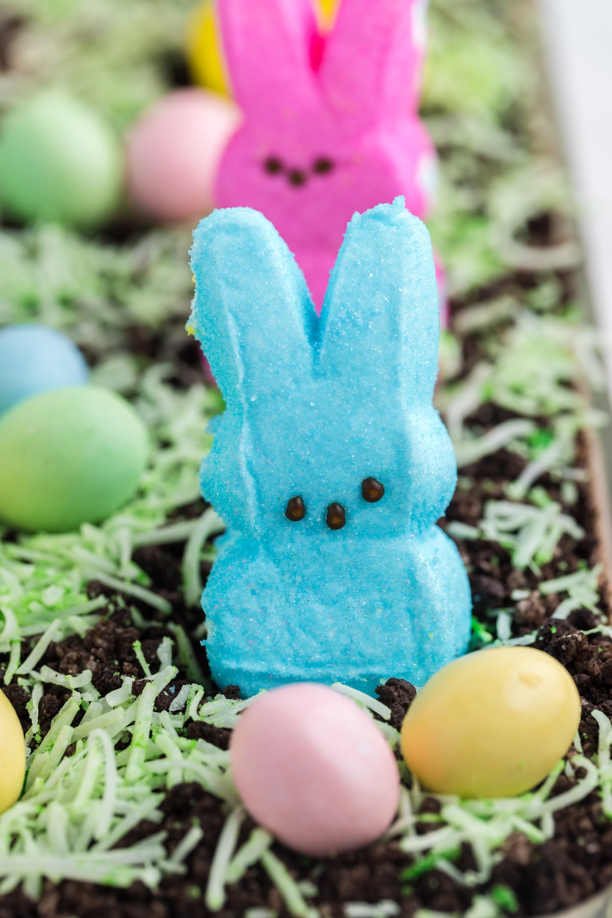Super up close view of a blue marshmallow peeps and candy eggs on a dirt cake.