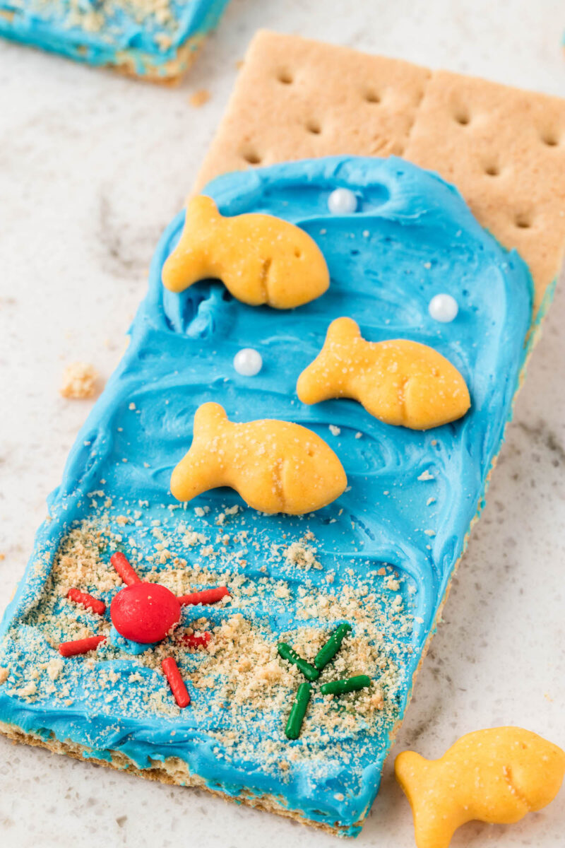 Ocean Graham Cracker Snacks