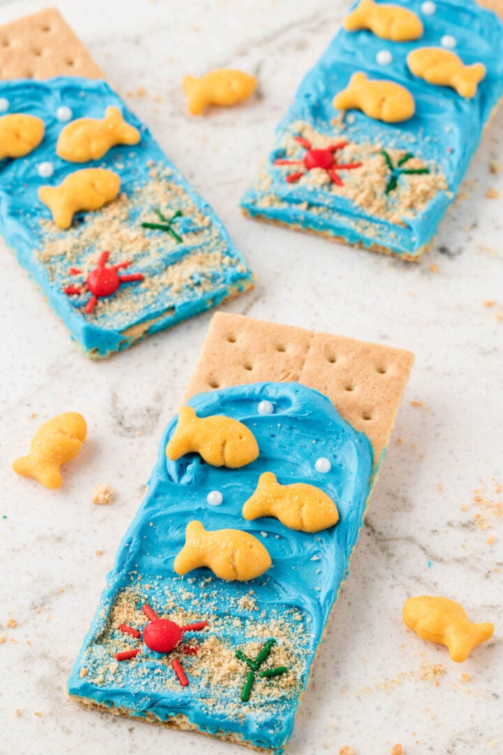 Ocean Graham Cracker Snacks