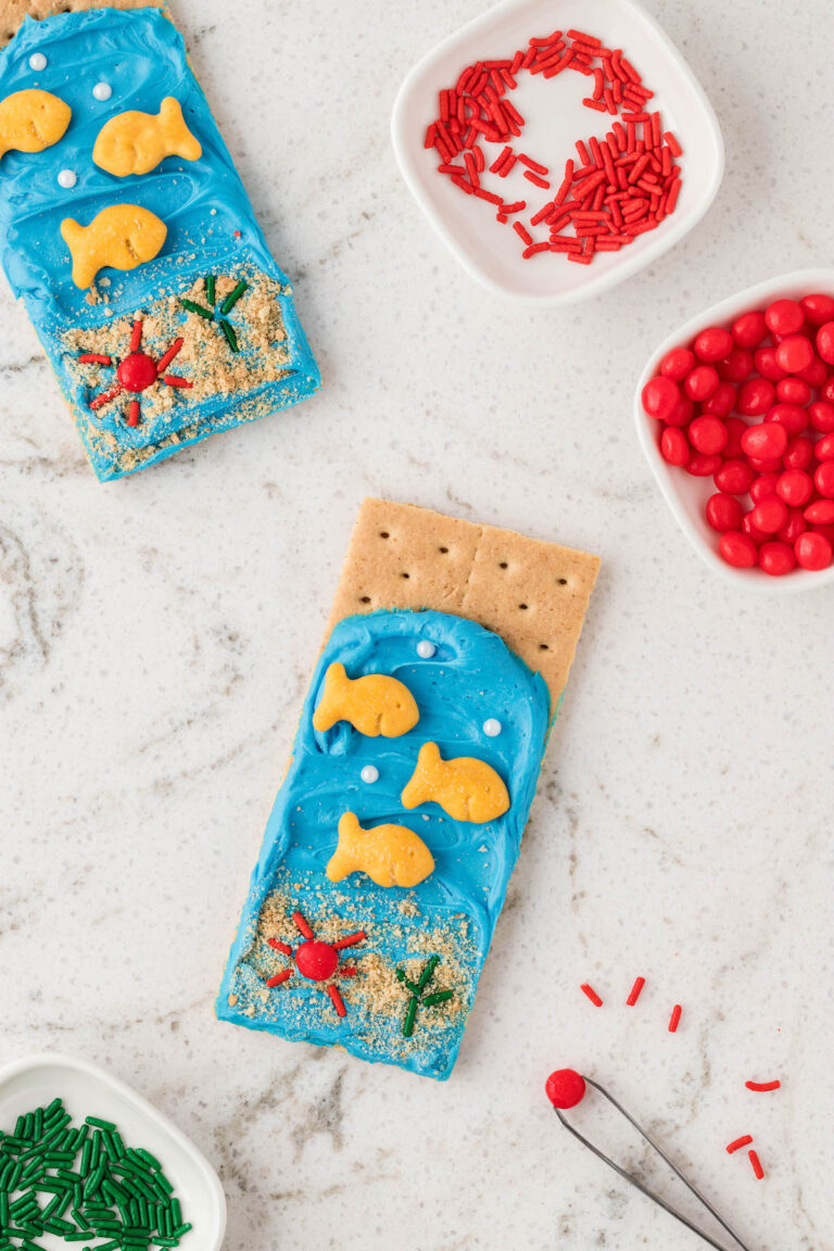 Ocean Graham Cracker Snacks