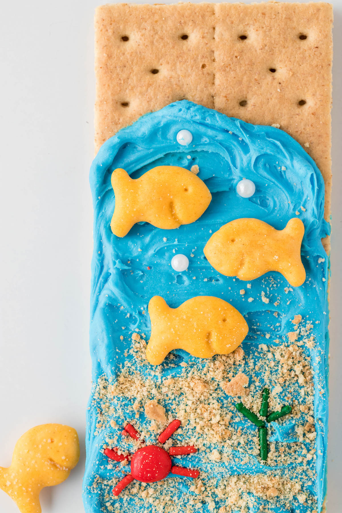 super up close views of ocean graham cracker treat for kids