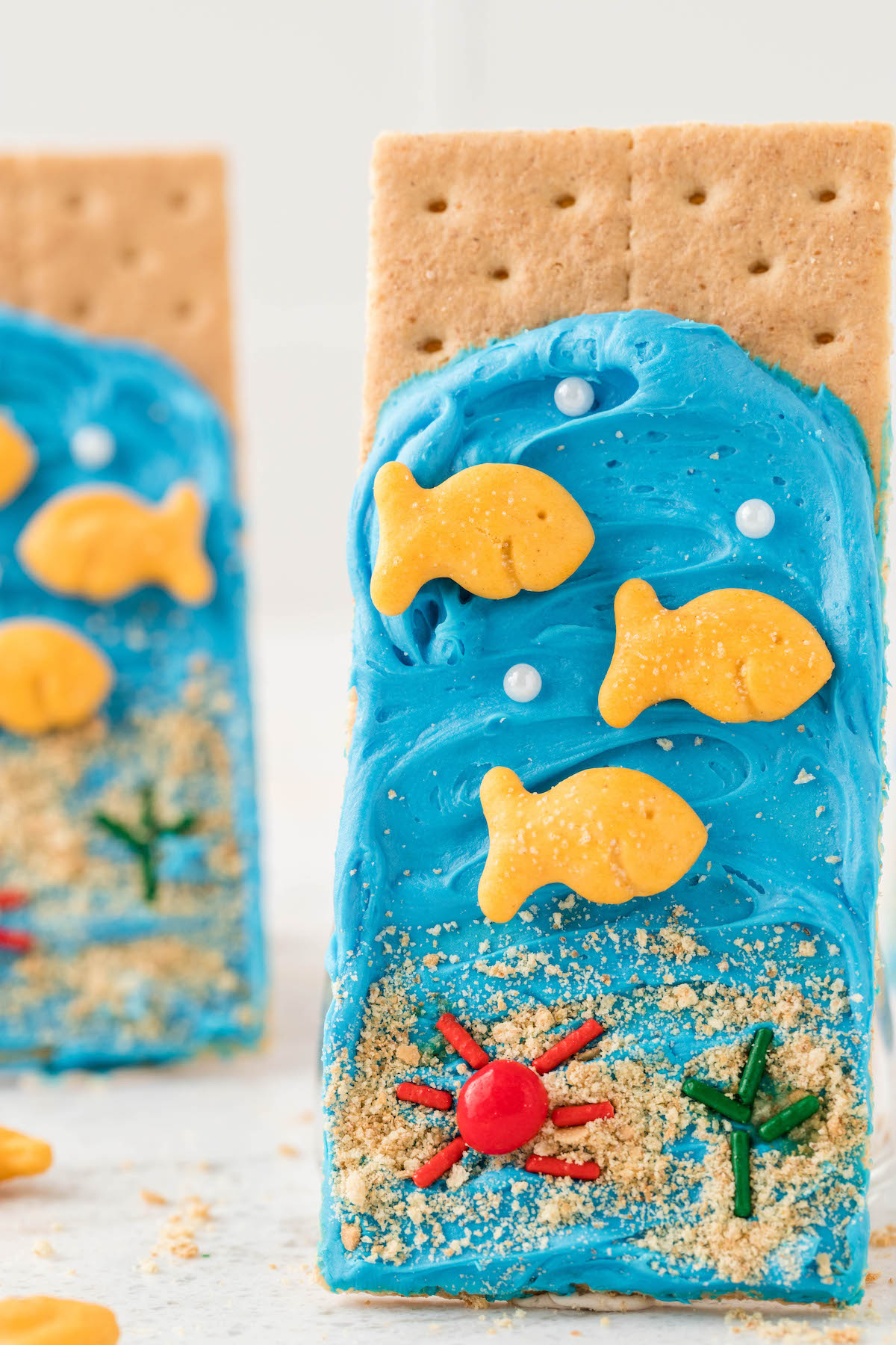 upright graham cracker snack with an ocean theme