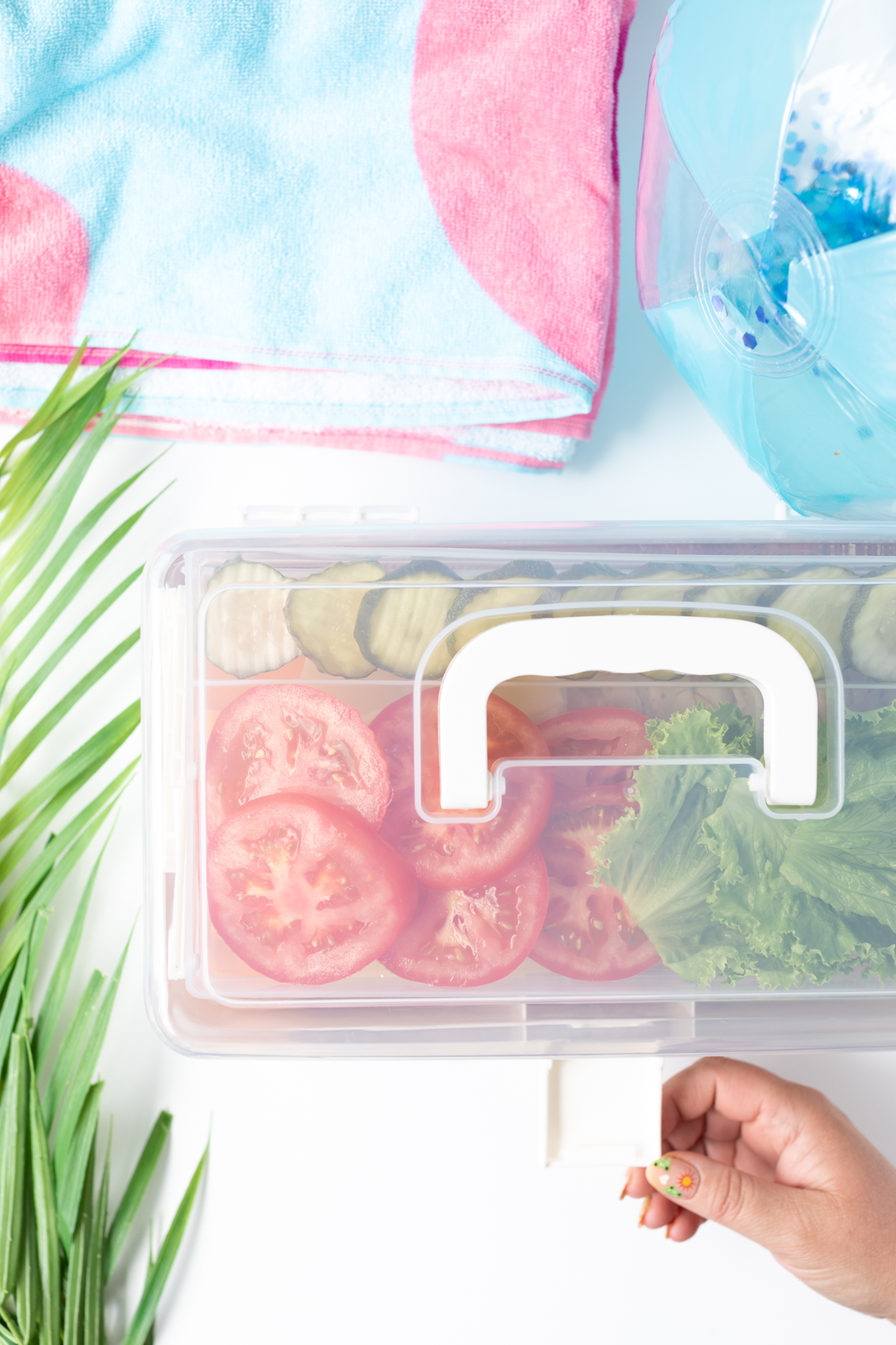 tackle box filled with sandwich toppings to take on the go.