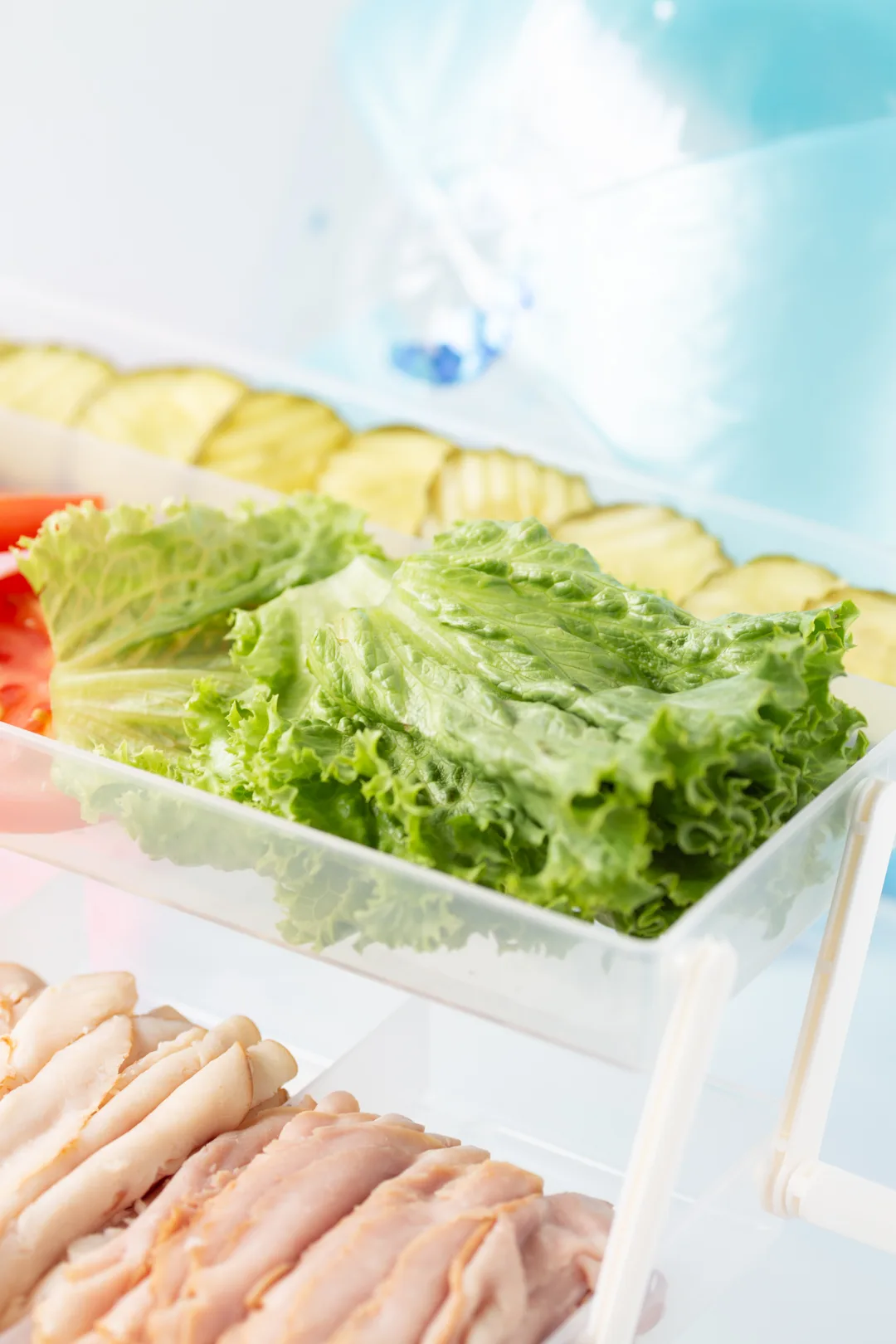 slices of lettuce stacked into a tackle box