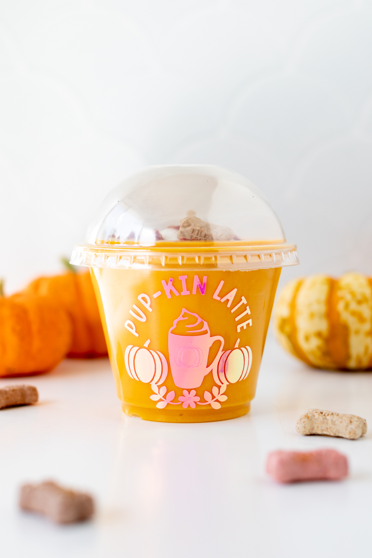 fun puplin spice recipe for doggies. cute mini domed cups.
