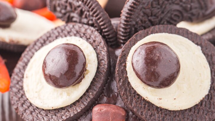 Adorable Owl Cupcakes That'll Make You Hoot with Happiness!