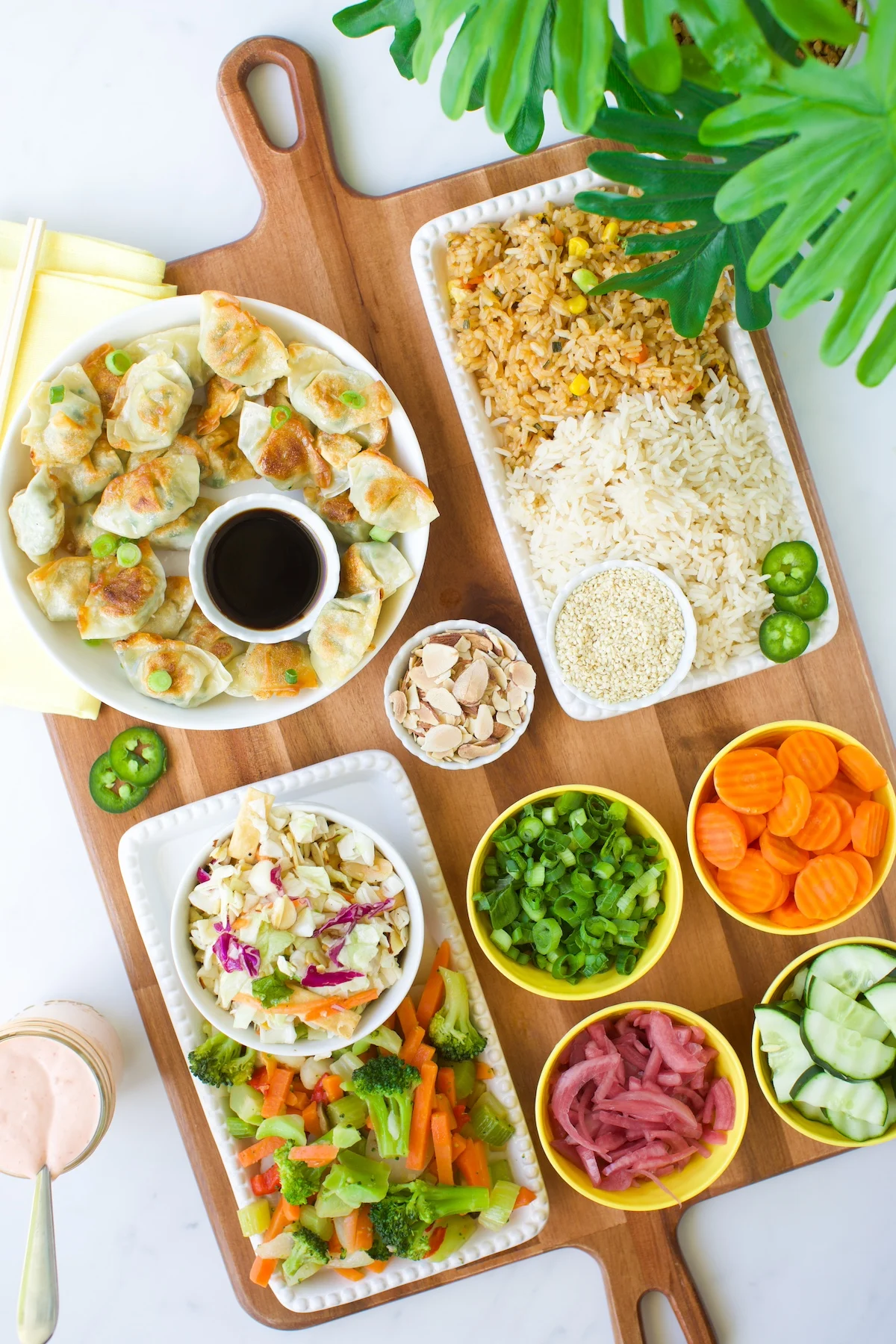 asian rice bowl charcuterie board with mini wontons, rice and veggies.