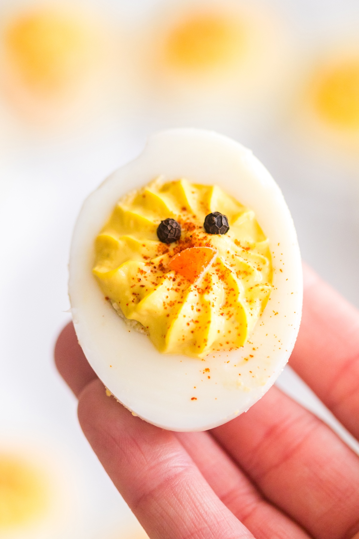 upclose of the baby chick